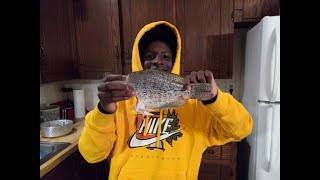 Catch N Cook Crappie [upl. by Latton]