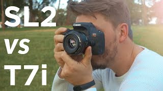 Canon SL2 200D vs Canon T7i 800D  Head to head shootout [upl. by Ahtiek]