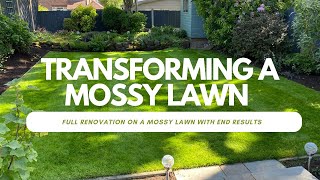 Transforming A Mossy Lawn [upl. by Llenehc]