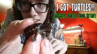 I GOT TWO BABY MUSK TURTLES Aquatic tank setup  NimBruh [upl. by Epotimet]