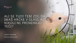 Ali se tudi tebi zdi da imaš hrčke v glavi ki nikoli ne prenehajo teči 🐹💨 [upl. by Queen75]