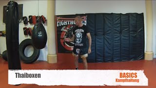 Thaiboxen Basics Kampfhaltung [upl. by Ladnor]