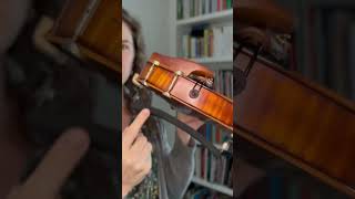 How to Place Violin Shoulder Rest beginnerviolin violin howtoplayviolin learnviolin [upl. by Deelaw]