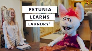 Darci Lynne Petunia Learns Laundry [upl. by Raouf]