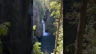 Toketee Falls Umpqua National Forest waterfall umpquanationalforest oregon waterfallhighway [upl. by Ame273]