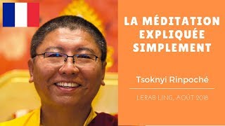 Tsoknyi Rinpoché  La méditation expliquée simplement [upl. by Ecirp]