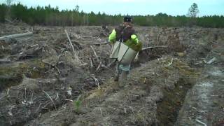 Lowcountry Tree Planting [upl. by Yc]