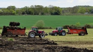 Epandage de fumier 2016  Massey ferguson amp Case IH amp Sodimac amp JCB [upl. by Kcirneh]