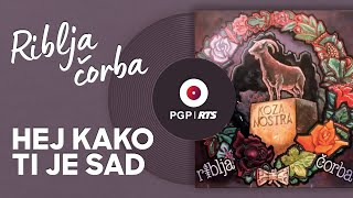 Riblja Čorba  Hej kako ti je sad  Audio 1990 HD [upl. by Rosena]