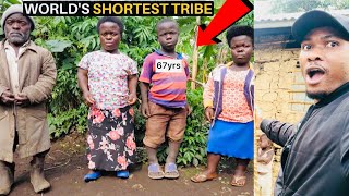 WORLD SHORTEST Tribe  The Batwa Pygmies 🇺🇬 [upl. by Haniraz]