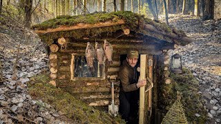 7 DAYS of building Survival Shelters  Bushcraft Earth Hut log and moss walls ASMR [upl. by Chryste263]