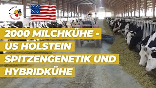 2000 Milchkühe  USHolstein Spitzengenetik und Hybridkühe  unser Video zur EuroTier aus den USA [upl. by Ecirtra935]