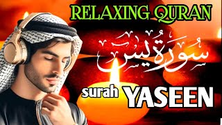 Surah Yasin Yaseen Full  سورۃ یس 🕌✨🕌🧡Surah Yasin Full  تلاوة رائعة لسورة يس  Beautiful Quran [upl. by Buxton]