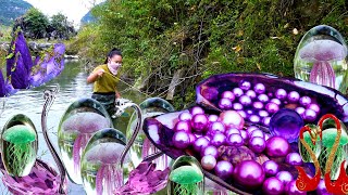 The purple giant clam growing in fresh water breeds breathtaking purple pearls which are priceless [upl. by Leugar629]