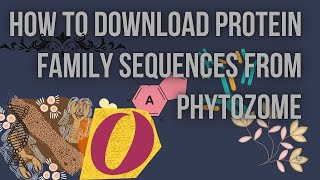 How to Download Protein Family Sequences from Phytozome [upl. by Clayborn]