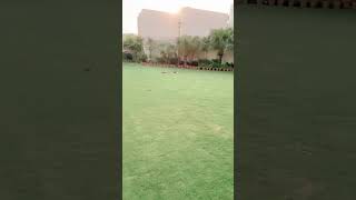 Falettis Hotel Lahore Natures Luxury Garden Bliss Green Retreat PicturePerfect View [upl. by Denoting]