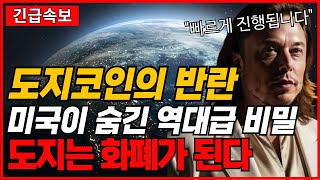 도지코인의 반란 미국이 숨긴 역대급 비밀 도지는 화폐가 된다 [upl. by Yrocal]