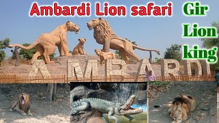 Ambardi Lion safari park Gir Lion king [upl. by Aramad]