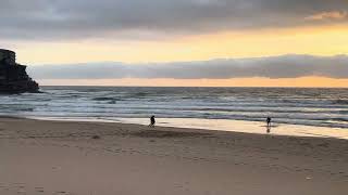 17112024 Sydney Surf Report Queenscliff Beach Australia [upl. by Eimia]