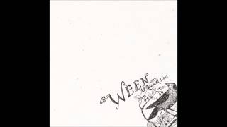 Ween  All Request Live 2003 Full Album [upl. by Ahsinra393]