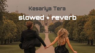 Kesariya Tera Ishq Hai Piya  Arijit Singh Slowed  Reverb Lofi 🎧 ll Sahil ringtone 🍂🩶 [upl. by Adnohral]