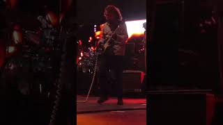 Rats In The Sky Live  King Gizzard amp The Wizard Lizard [upl. by Chloris]