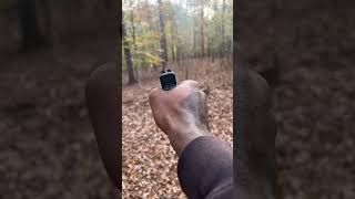 Is the G19 a controllable handgun🤷🏾‍♂️ viralvideo public duet glock19gen5 [upl. by Atikram216]