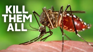 What If We Killed Every Mosquito On Earth [upl. by Profant]