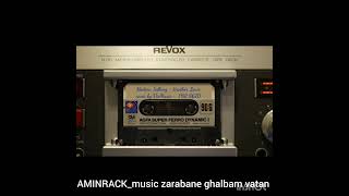 AMINRACKmusic zarabane ghalbam vatan [upl. by Eurd399]