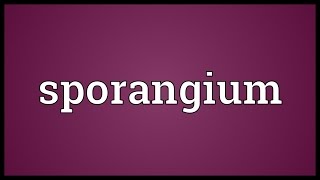 Sporangium Meaning [upl. by Oppen257]