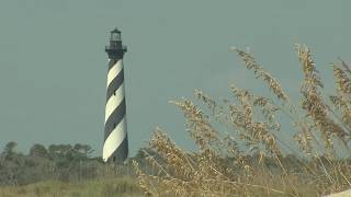 Birding on the Outer Banks and Northeast NC [upl. by Margherita]