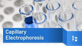 Capillary Electrophoresis Principle and applications [upl. by Ming747]