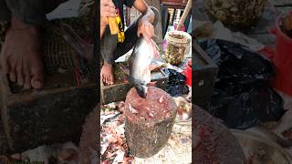 Popular Big Size Pangas Fish Cutting Video 😱😱 shorts [upl. by Nagem243]