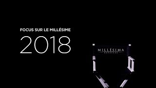 Interview Laurent Dufau  Château Calon Ségur  Millésime 2018 [upl. by Gelman]