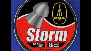 BSA Storm Pellets review and test [upl. by Ybhsa]