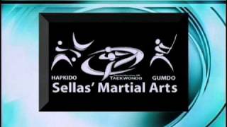 Puerto Rico HapkidoTkd y Gumdo sellas [upl. by Kleinstein]