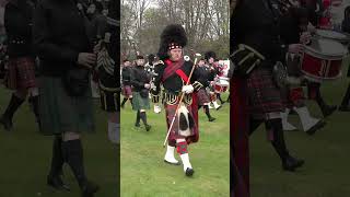 Drum Majors leading the Highland massed Pipes amp Drums into Crawl Park Alness in April 2023 shorts [upl. by Lavoie281]