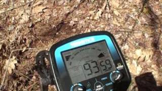 REVIEW Field Test Teknetics Omega 8000 metal detector 1700s NH Cellar Hole detecting 8500 relics [upl. by Nwahs883]