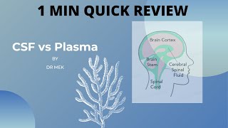 CSF vs Plasma [upl. by Enailil]