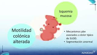 Sesion 5 TRATAMIENTO MEDICO DE ENFERMEDAD DIVERTICULAR Dra Ceriolith Tenorio Flores [upl. by Scornik]