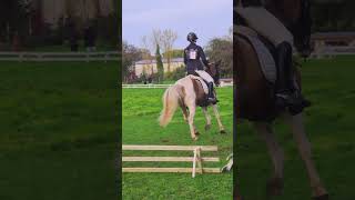 Dressage cce jeumont club1 131024 67 equitation horseriding cce dressagehorse equestrian [upl. by Undis]