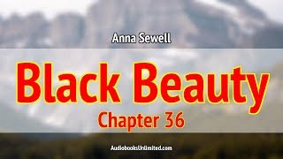 Black Beauty Audiobook Chapter 36 [upl. by Trygve]