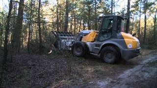 Drukke tijden voor boswachters Brabantse bossen liggen vol met geknakte bomen en takken [upl. by Maximilian249]