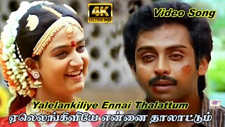 Yaleankiliyeaஏலெலங்கிளியே என்னைதாலாட்டும்Anand Babu Mohini Love Sogam Tamil Song [upl. by Remos]