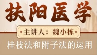 【扶阳医学】入门扶阳派的三步法 魏小栋 嗨格式压缩副本 [upl. by Llenet317]