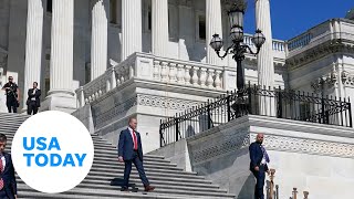 Lobbying and US politics How does it work  USA TODAY [upl. by Honna]