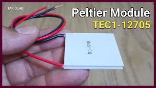 What Is Peltier Module  Thermoelectric Cooler [upl. by Einaoj756]