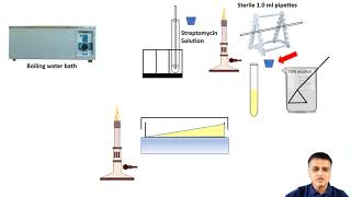 Isolation of Streptomycin Resistant Mutants of E coli by Gradient Plate Method [upl. by Yoccm]