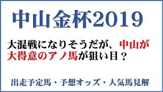 「中山金杯2019」出走予定馬・予想オッズ・人気馬見解 [upl. by Eyr]