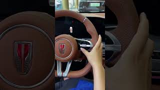 All New 2024 FAW Hongqi H9 automobile luxury chinaautoshow autochina [upl. by Moreen]